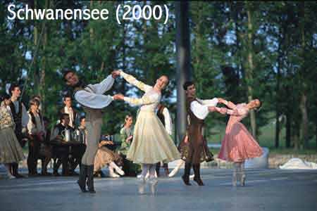 Schwanensee 2000 wird geladen