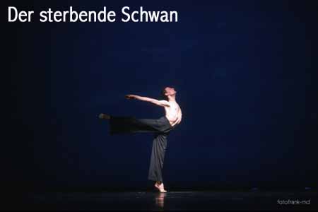 Der sterbende Schwan wird geladen